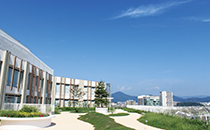 屋上庭園