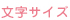 文字サイズ