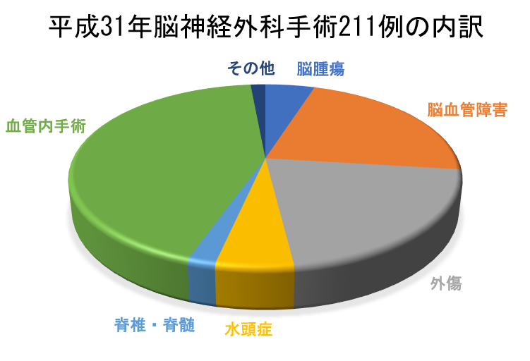 平成31年　脳神経外科手術211例の内訳図